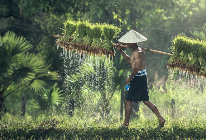 農(nóng)產(chǎn)品電商帶貨短視頻營(yíng)銷(xiāo)