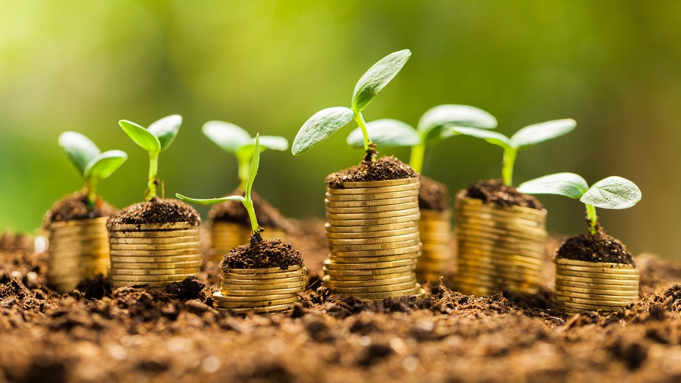 農(nóng)產(chǎn)品電商帶貨短視頻營(yíng)銷(xiāo)