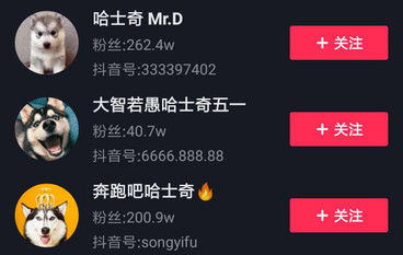哈士奇短視頻營(yíng)銷(xiāo)策劃