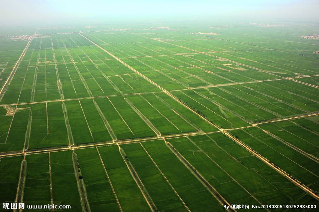 農(nóng)業(yè)品牌策劃應(yīng)該怎么做