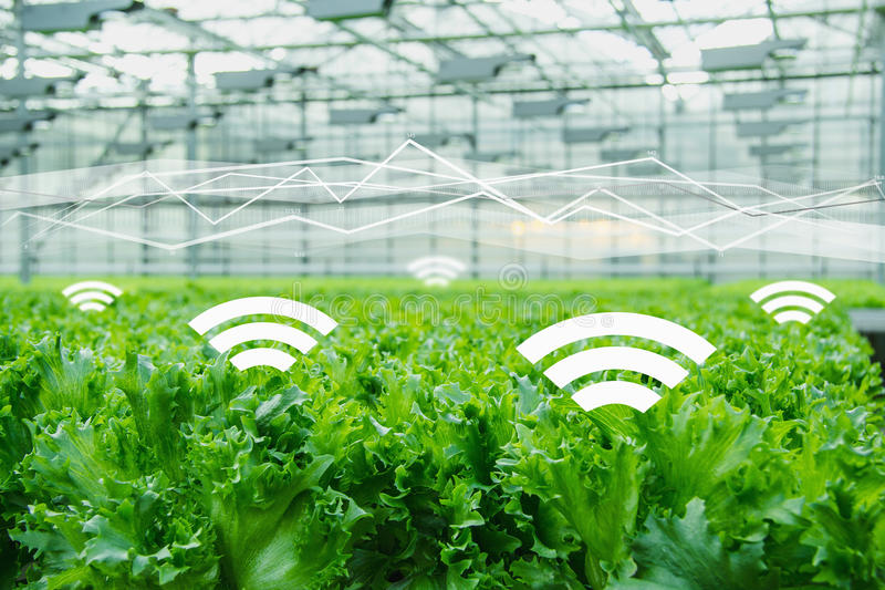 互聯(lián)網(wǎng)農(nóng)業(yè)品牌定位應(yīng)該找哪些人來做？