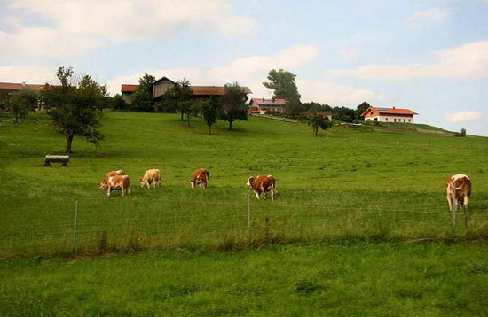 要想做好農(nóng)業(yè)品牌定位：這三大要素不能缺少！