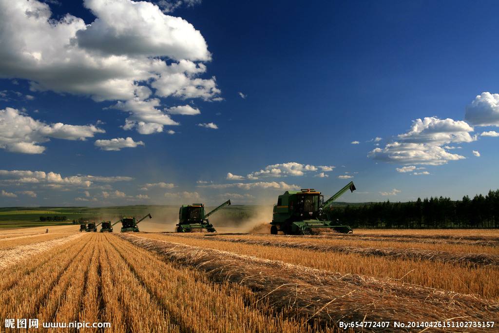 農(nóng)業(yè)品牌策劃多久能成功呢？