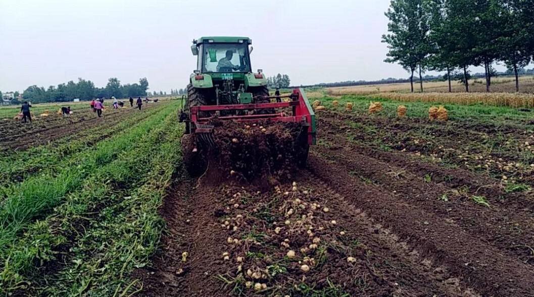 農(nóng)業(yè)品牌策劃需要長(zhǎng)期做嗎？