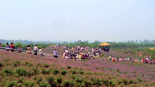 農(nóng)業(yè)品牌策劃能給公司帶來(lái)什么利益呢？