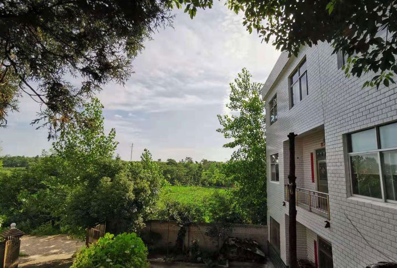 鄉(xiāng)村品牌建設(shè)產(chǎn)業(yè)融合引領(lǐng)鄉(xiāng)村產(chǎn)業(yè)高質(zhì)量發(fā)展