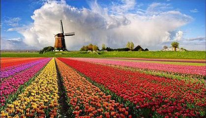 農業(yè)品牌策劃