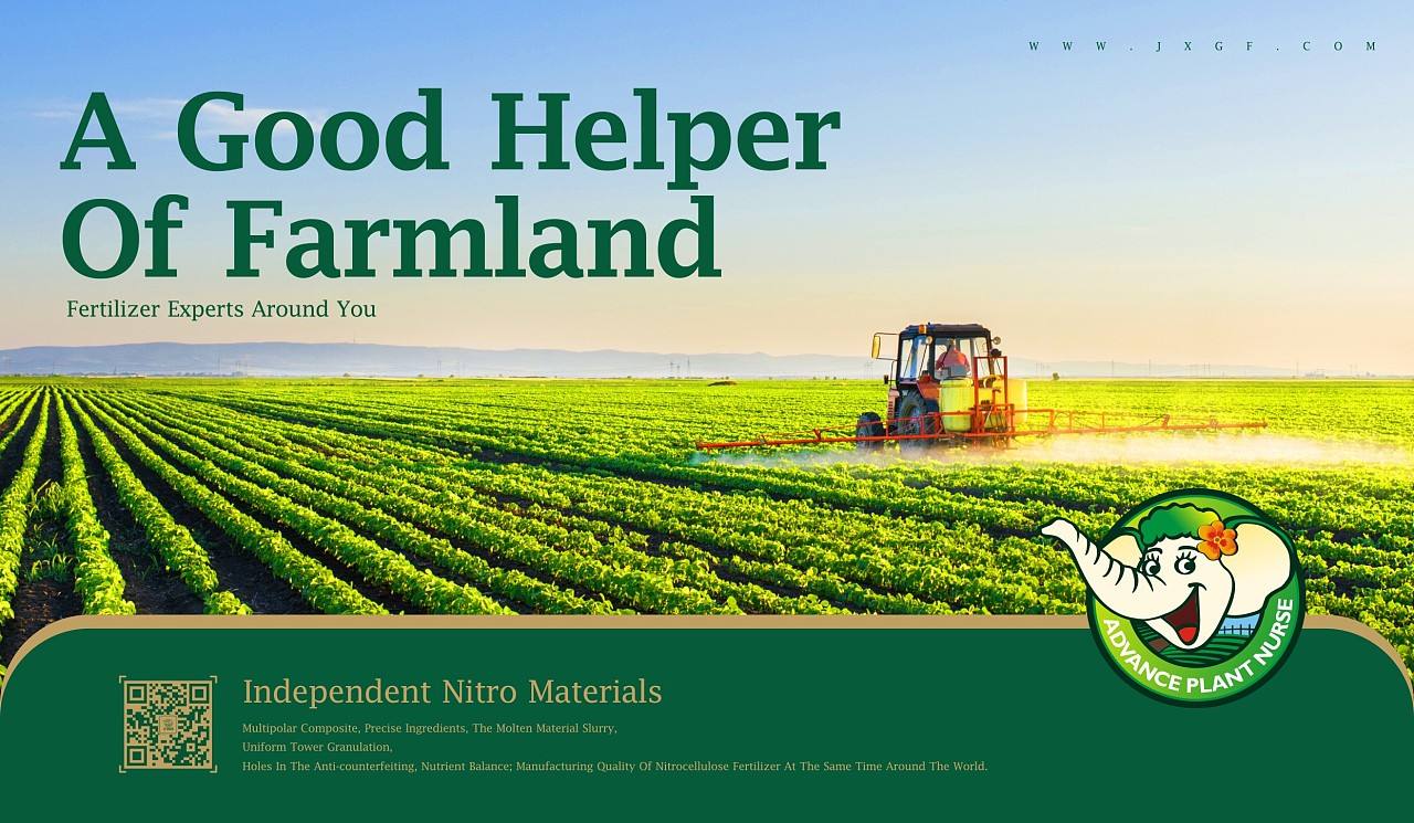 農業(yè)品牌策劃公司