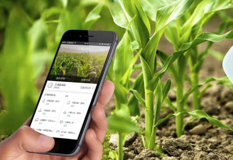 農(nóng)業(yè)發(fā)展戰(zhàn)略策劃 農(nóng)產(chǎn)品品牌策劃設(shè)計公司