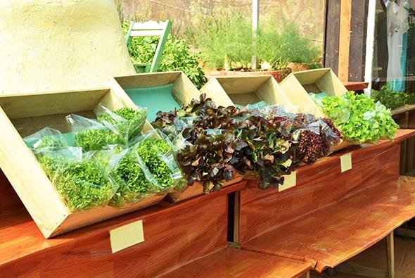 農(nóng)業(yè)包裝設(shè)計的重要作用與意義