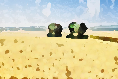 農(nóng)業(yè)公司品牌形象提升，實(shí)現(xiàn)農(nóng)業(yè)增效、農(nóng)民增收