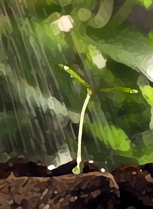 農(nóng)業(yè)公司品牌提升策劃，實(shí)現(xiàn)農(nóng)業(yè)垂直一體化