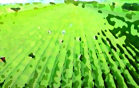 農(nóng)業(yè)品牌提升機(jī)構(gòu)，促進(jìn)農(nóng)業(yè)農(nóng)村經(jīng)濟(jì)轉(zhuǎn)型