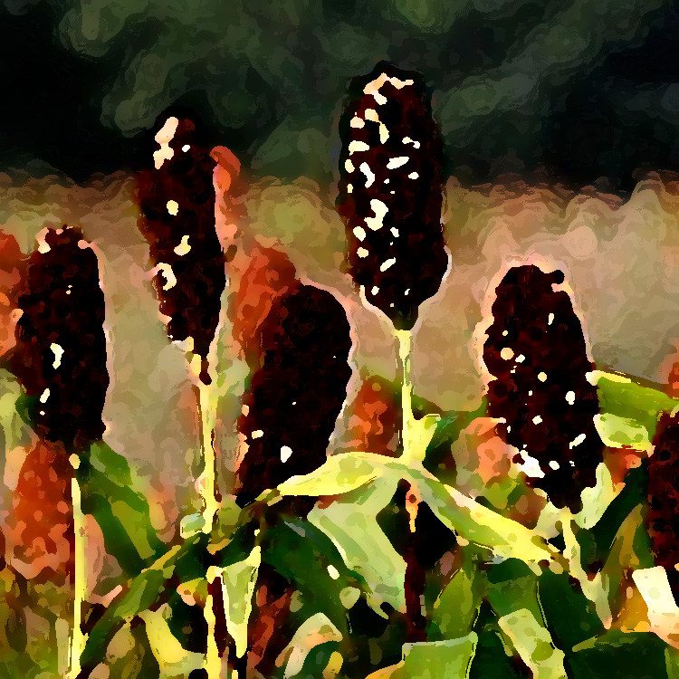 農(nóng)業(yè)老品牌提升，讓品牌強(qiáng)起來(lái)