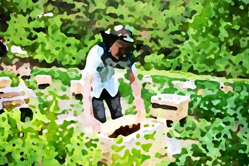 專(zhuān)業(yè)的農(nóng)產(chǎn)品全案策劃企業(yè)所具備的三大因素