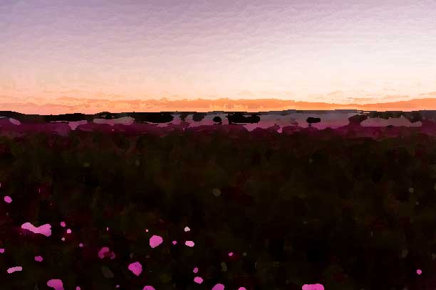 化妝品全案策劃公司應(yīng)該建立怎樣的形象？