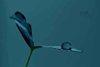 餐飲品牌設計的突破點有哪些？