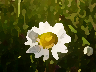 如何進(jìn)行農(nóng)業(yè)品牌形象提升？