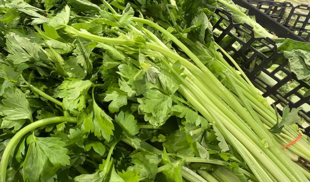 蔬菜農產品如何制定品牌定位戰(zhàn)略-農業(yè)定位公司