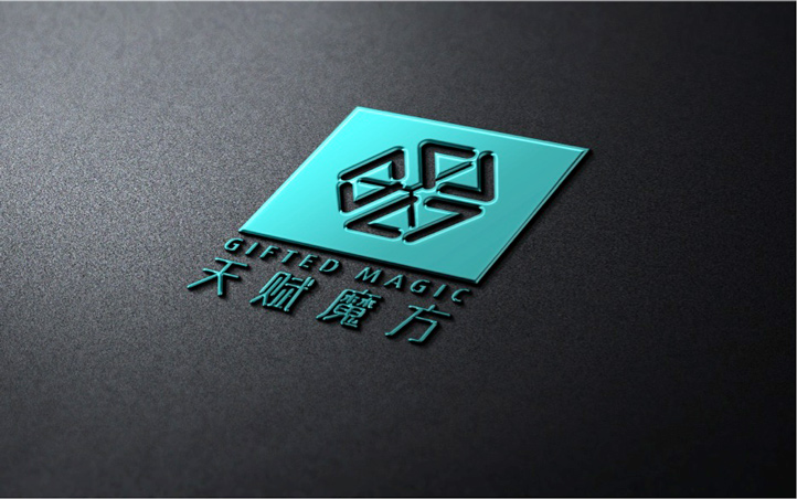 天賦魔方品牌VI設(shè)計(jì)