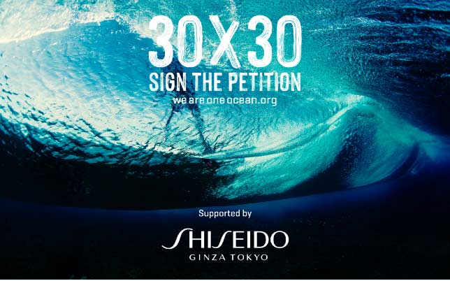 全球知名化妝品品牌資生堂藍色計劃