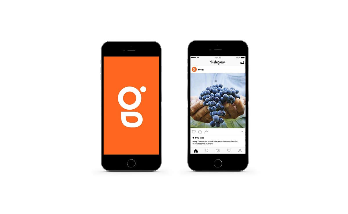 農業(yè)品牌VI設計