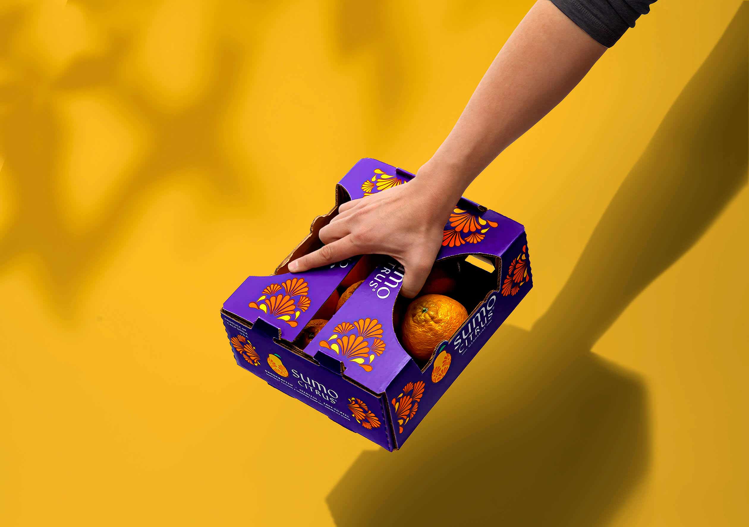 水果品牌設(shè)計(jì) 水果品牌設(shè)計(jì)