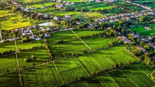 如何做好農(nóng)業(yè)形象升級(jí)？