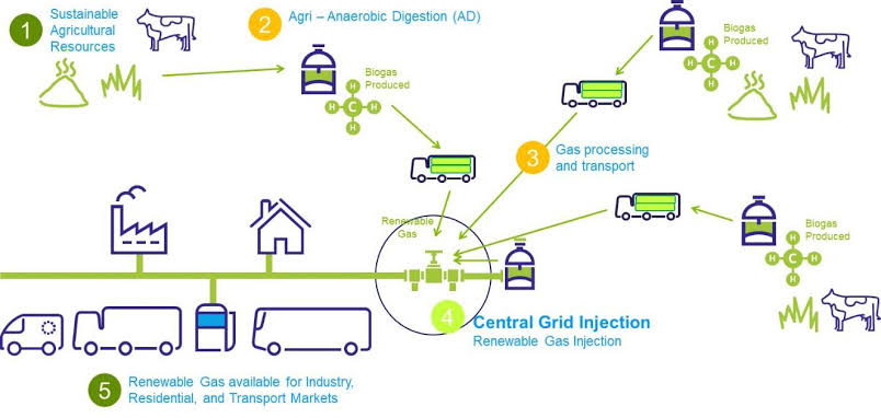 家庭農(nóng)場創(chuàng)業(yè)計(jì)劃書