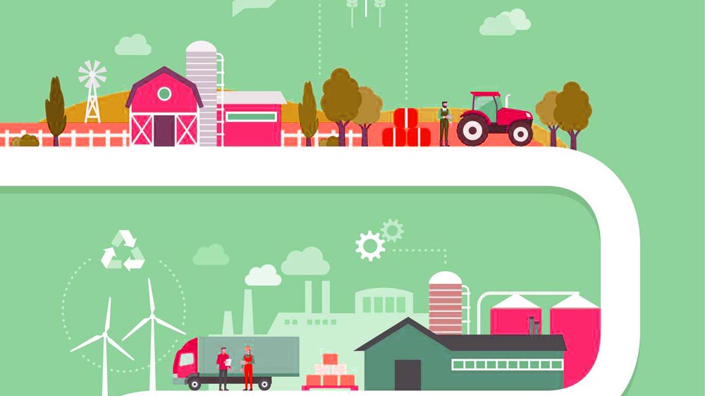 家庭農(nóng)場(chǎng)創(chuàng)業(yè)計(jì)劃書(shū) 上海美御農(nóng)業(yè)品牌建設(shè)