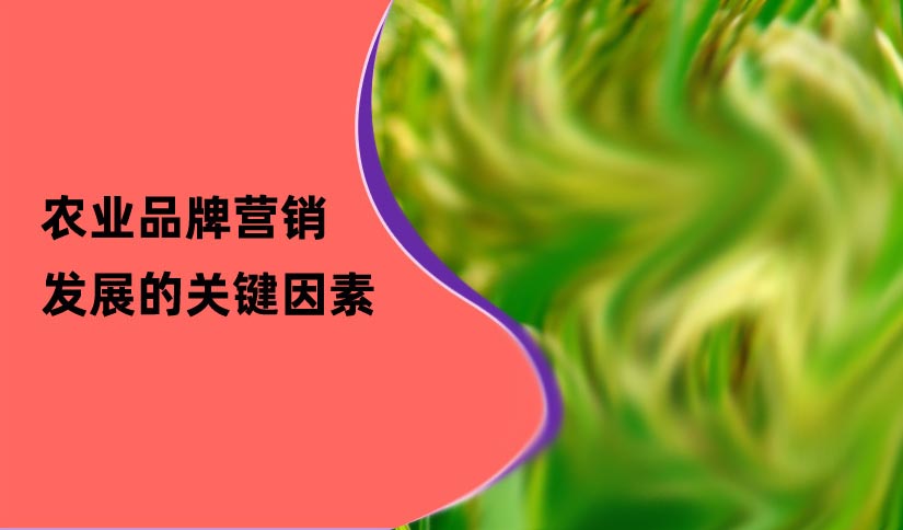 農(nóng)業(yè)品牌營(yíng)銷(xiāo)發(fā)展的關(guān)鍵因素