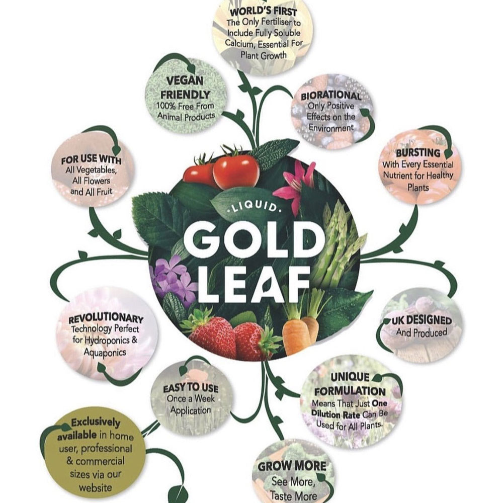 IMG_1642_1024x1024@2x.jpg IMG_1642_1024x1024@2x.jpg