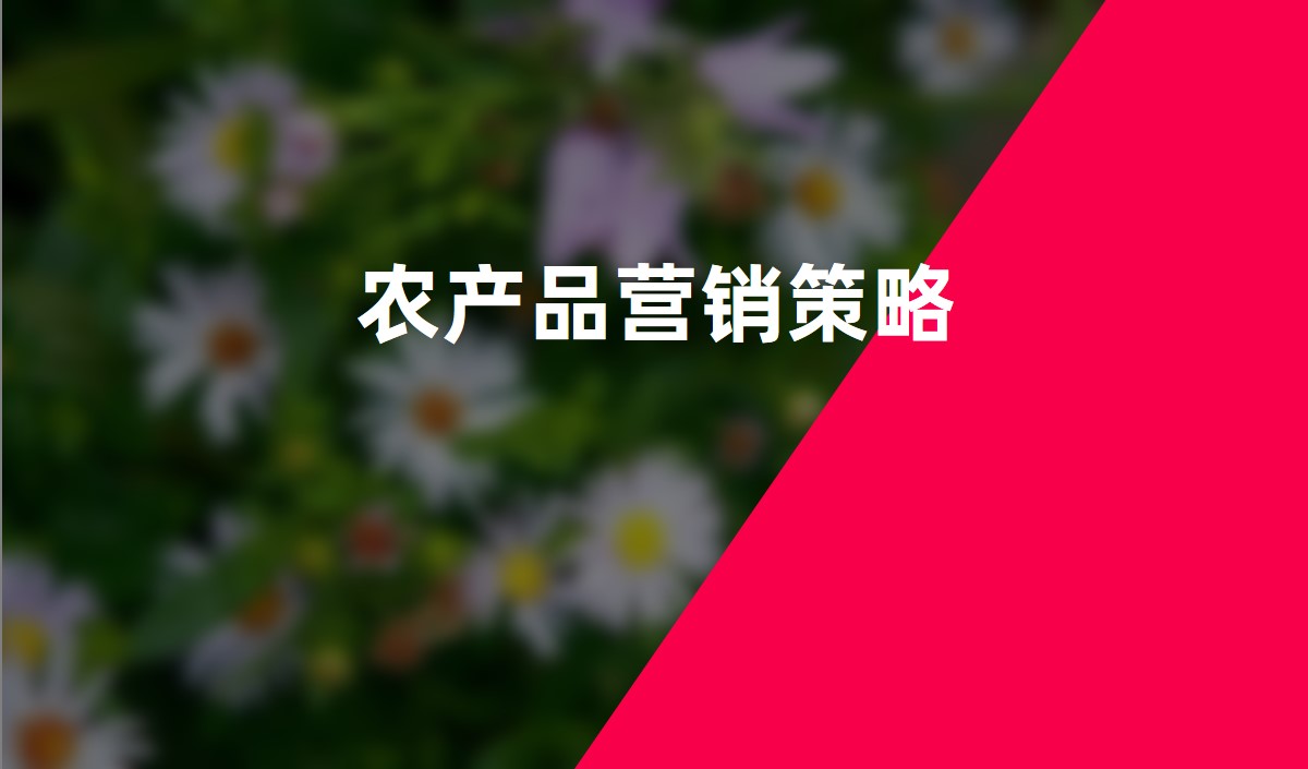 農(nóng)產(chǎn)品營(yíng)銷策略