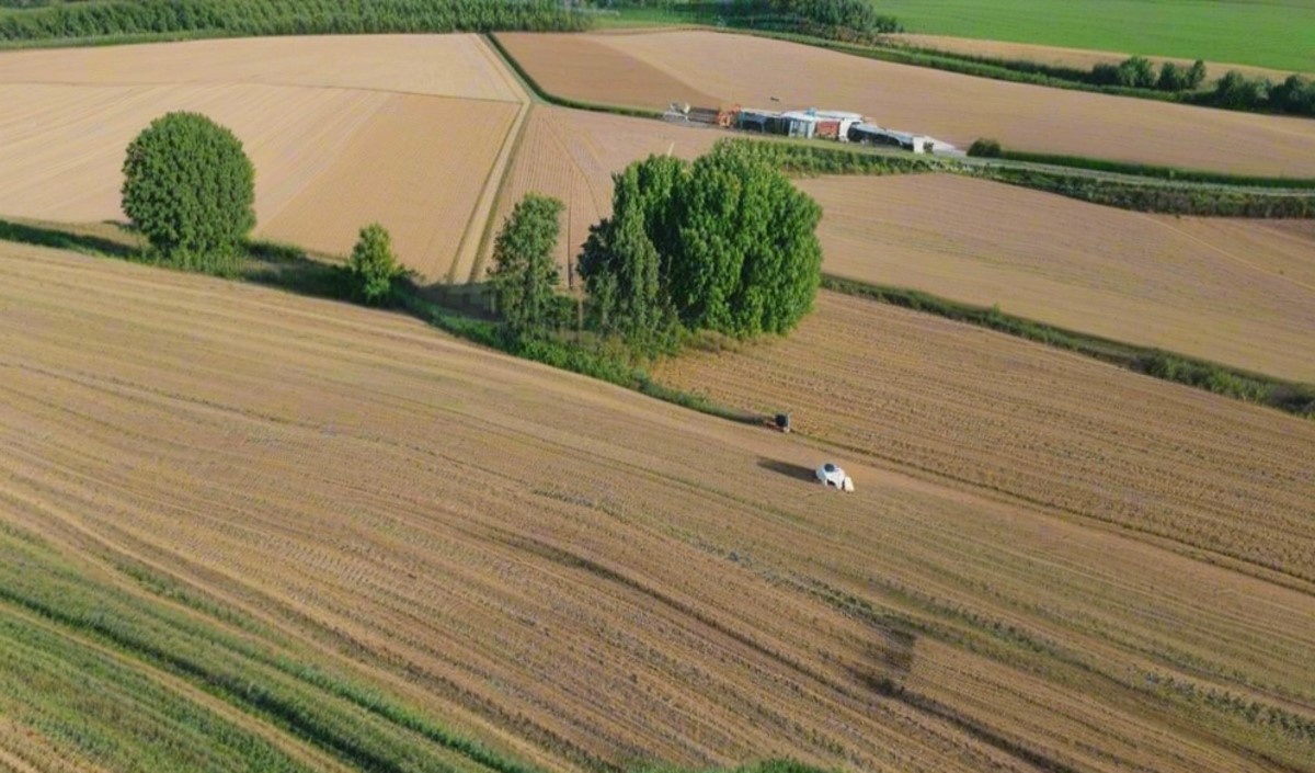 春季農(nóng)業(yè)品牌建設應該找什么樣品牌策劃公司